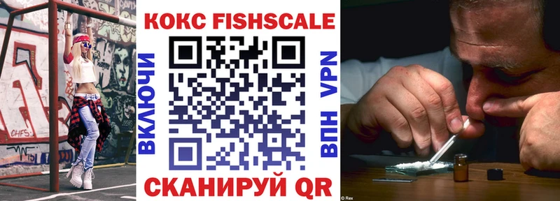 Купить закладки  Медвежьегорск  Cocaine Fish Scale 