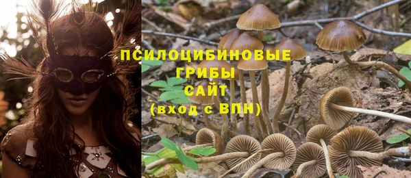 mdma Заволжск