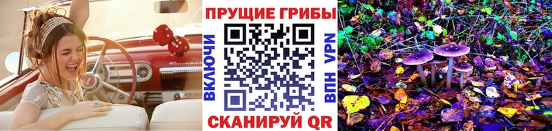Купить закладки  Медвежьегорск  Псилоцибиновые грибы Magic Shrooms 